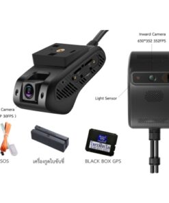 GPS : TERMINUS Honey Toast